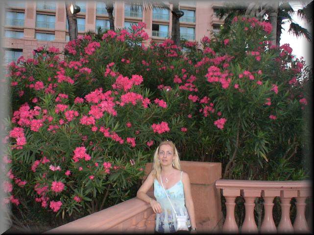 DSC01072