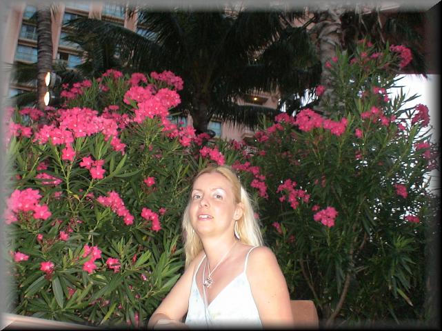 DSC01074